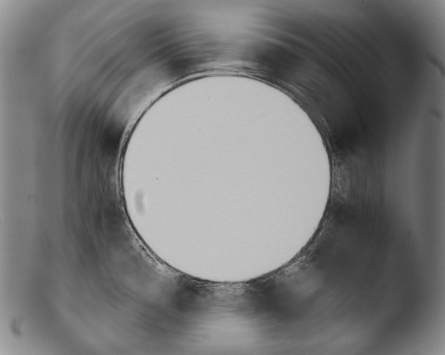 X0000103941196200810311518