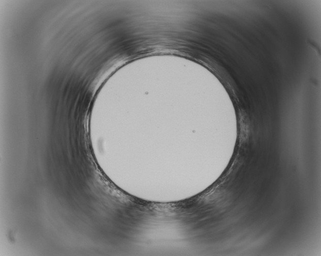 X0000103941198200810311518