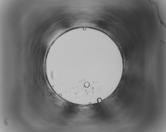 X0000103941199200810311518