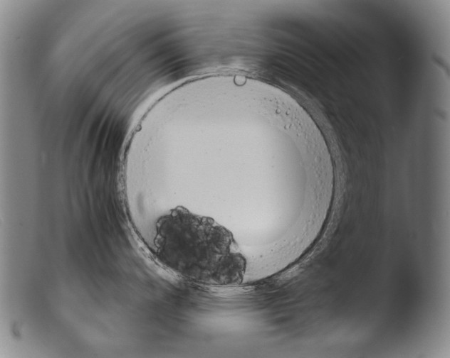 X0000103941200200810311518