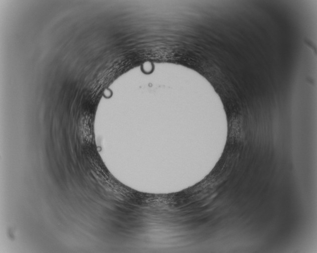 X0000103941202200810311517