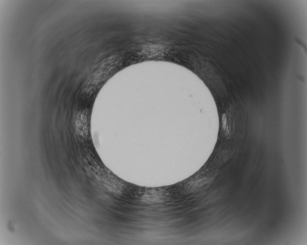 X0000103941203200810311517