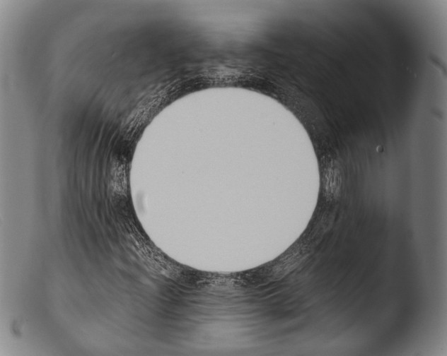 X0000103941204200810311517