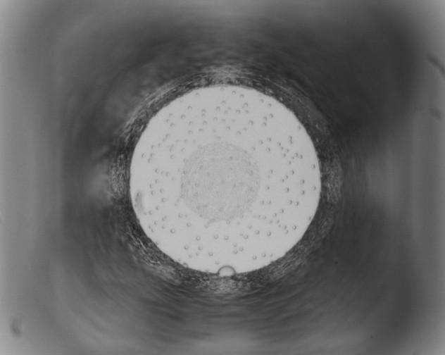 X0000103941207200810311517