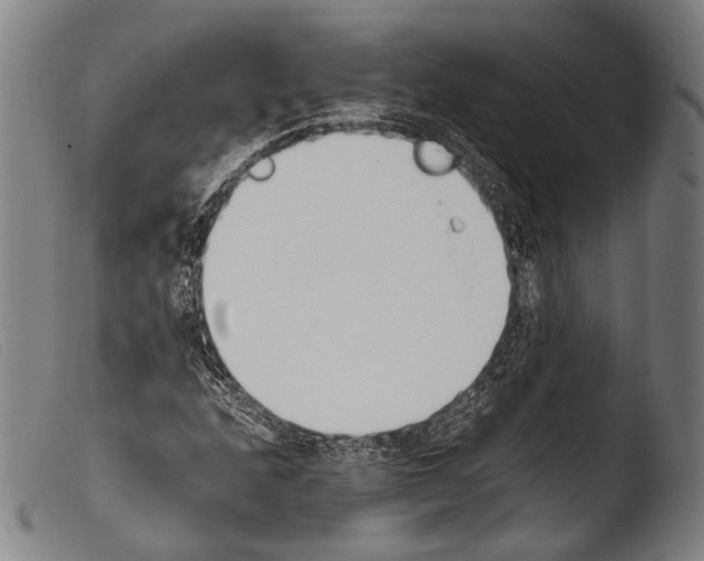 X0000103941208200810311517