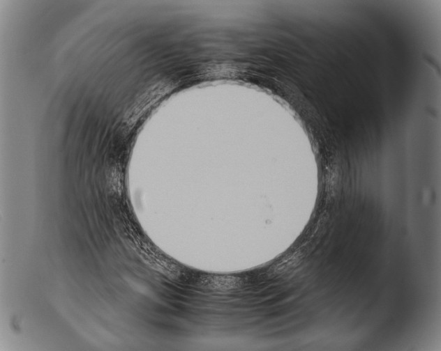 X0000103941209200810311517