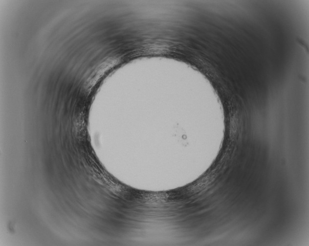 X0000103941210200810311517