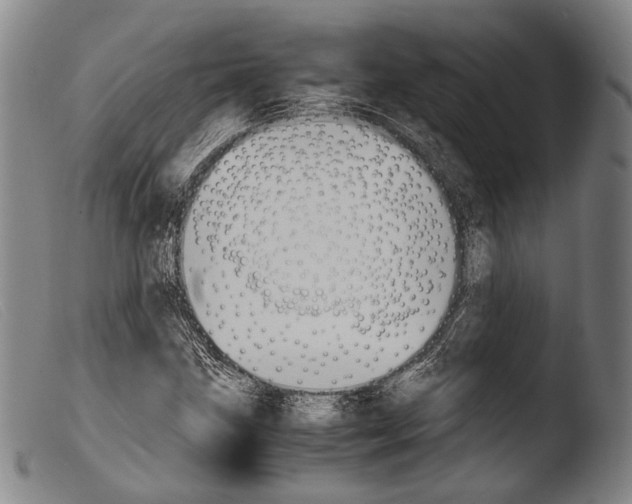 X0000103941211200810311517