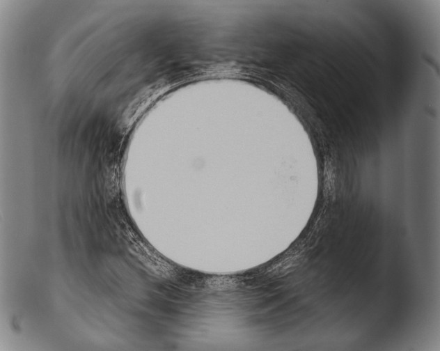 X0000103941212200810311517