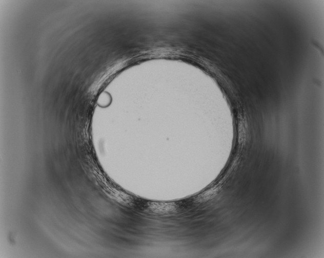 X0000103941213200810311517