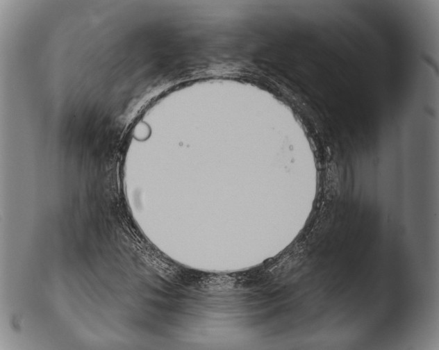 X0000103941214200810311517