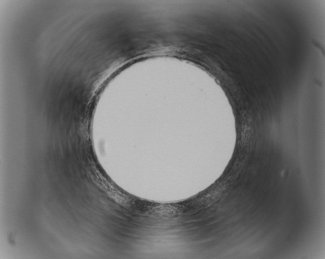 X0000103941216200810311517