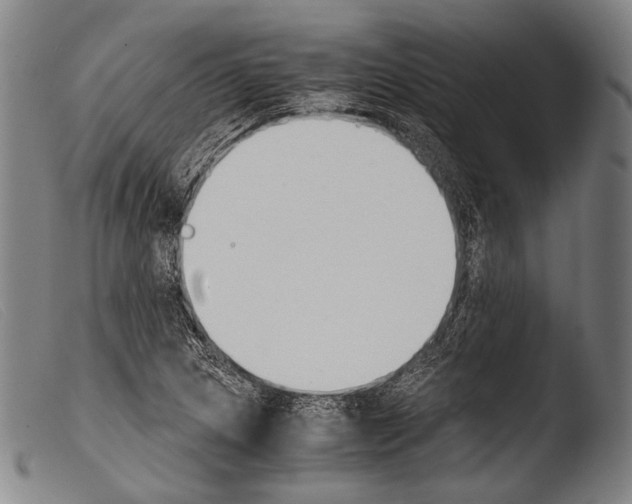 X0000103941217200810311517