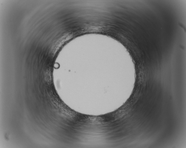 X0000103941218200810311517