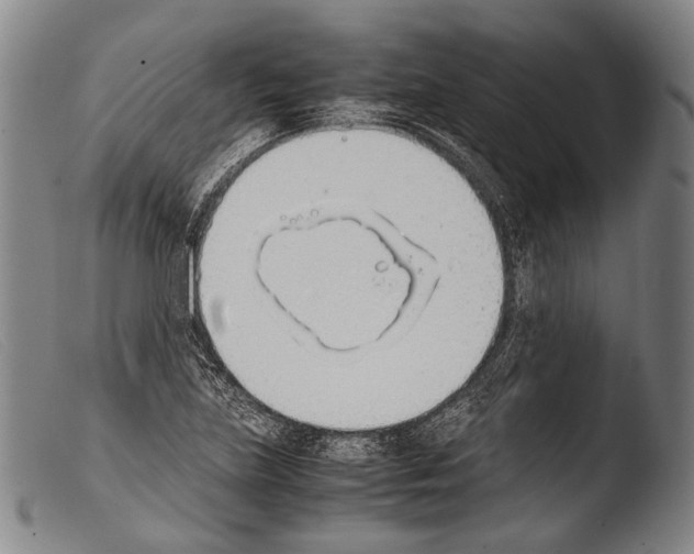 X0000103941219200810311518