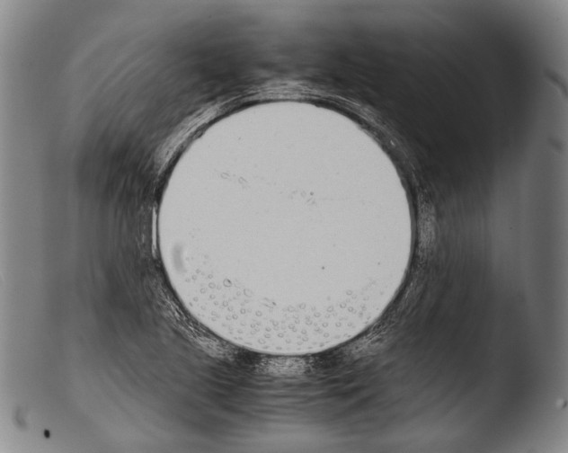 X0000103941221200810311518