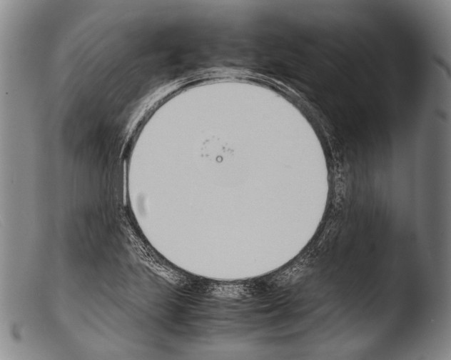 X0000103941223200810311518