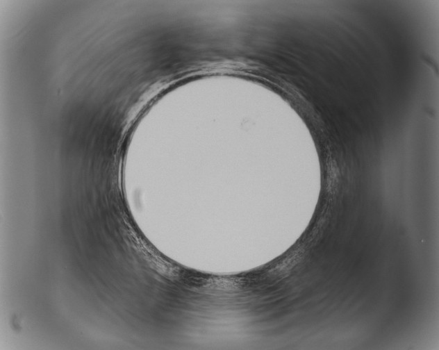 X0000103941224200810311518