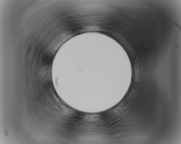 X0000103941225200810311518