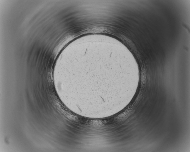 X0000103941226200810311518