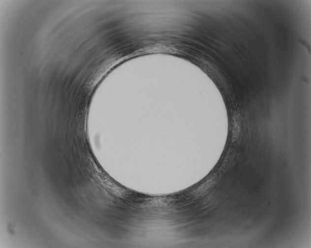 X0000103941228200810311518