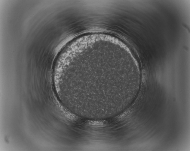 X0000103941229200810311518