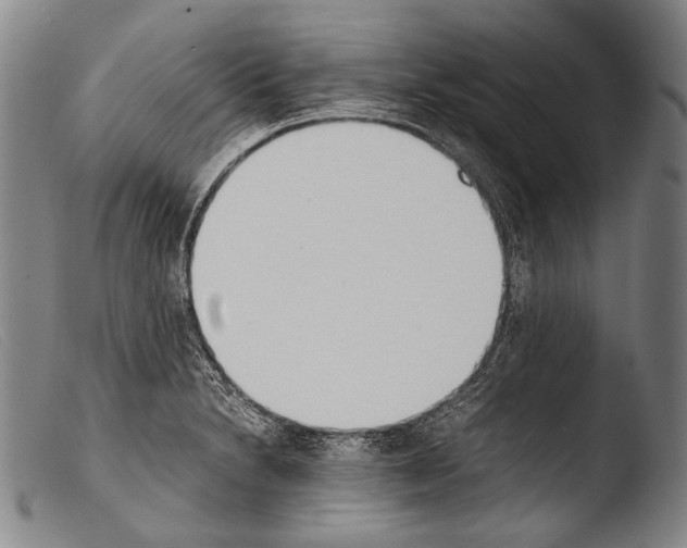 X0000103941230200810311518