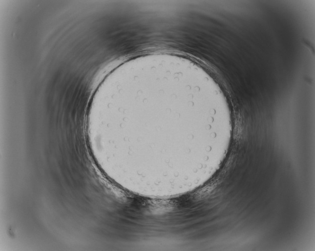 X0000103941231200810311518