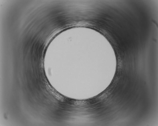 X0000103941232200810311518