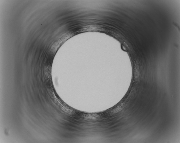 X0000103941233200810311518