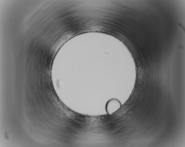 X0000103941234200810311518