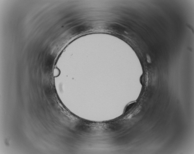 X0000103941236200810311518