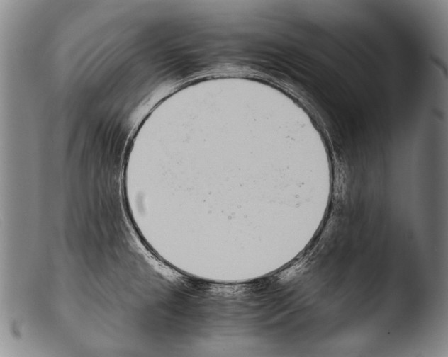 X0000103941237200810311518