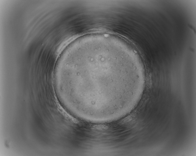 X0000103941239200810311518