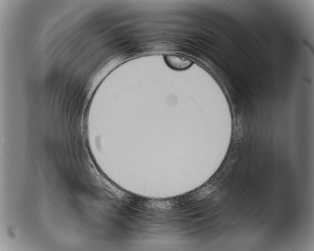 X0000103941243200810311518