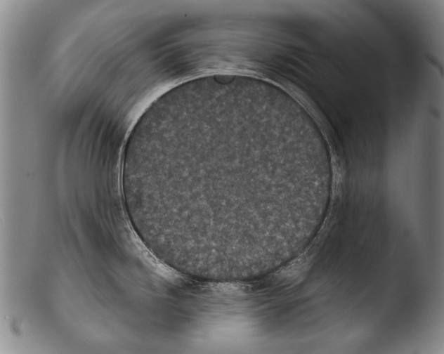 X0000103941246200810311518