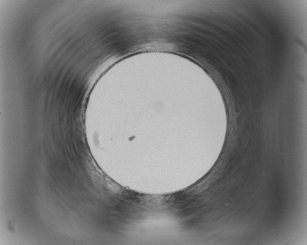 X0000103941248200810311518