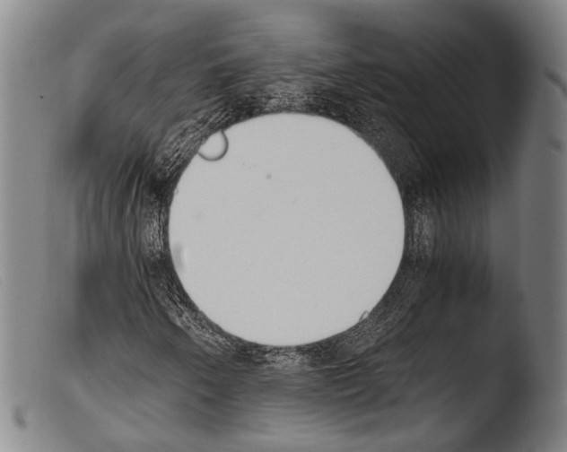 X0000103941250200810311517