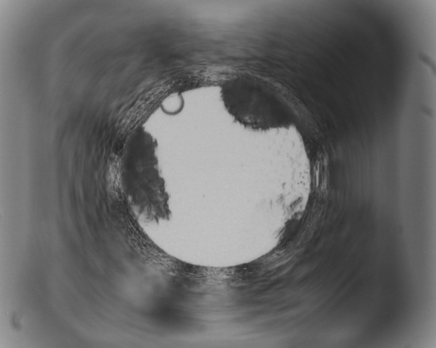 X0000103941251200810311517