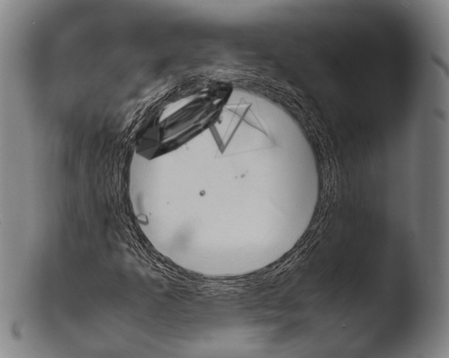 X0000103941253200810311517