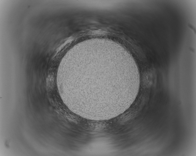 X0000103941254200810311517