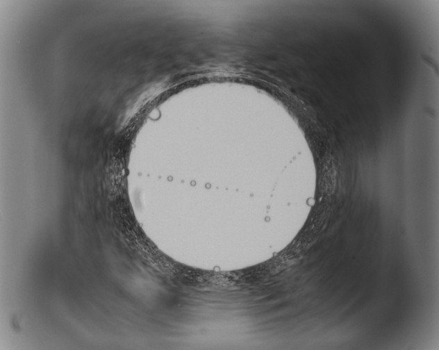 X0000103941255200810311517