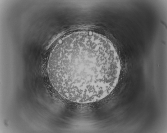 X0000103941256200810311517