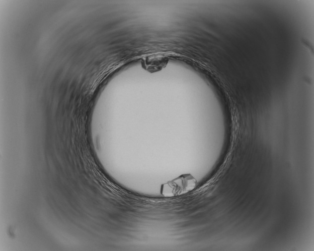 X0000103941257200810311517