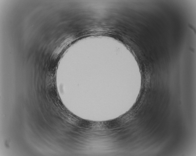 X0000103941259200810311517