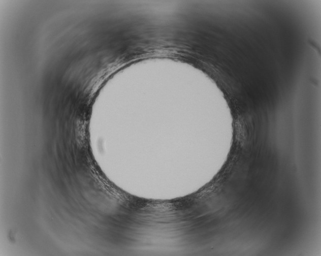 X0000103941260200810311517