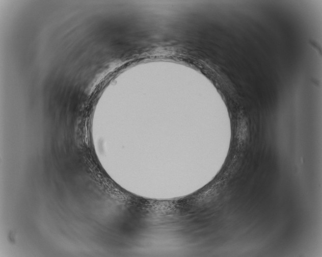 X0000103941262200810311517