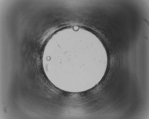 X0000103941263200810311517