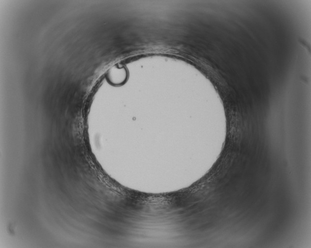 X0000103941264200810311517