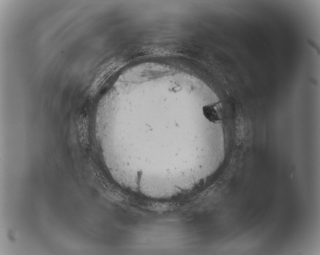 X0000103941265200810311517